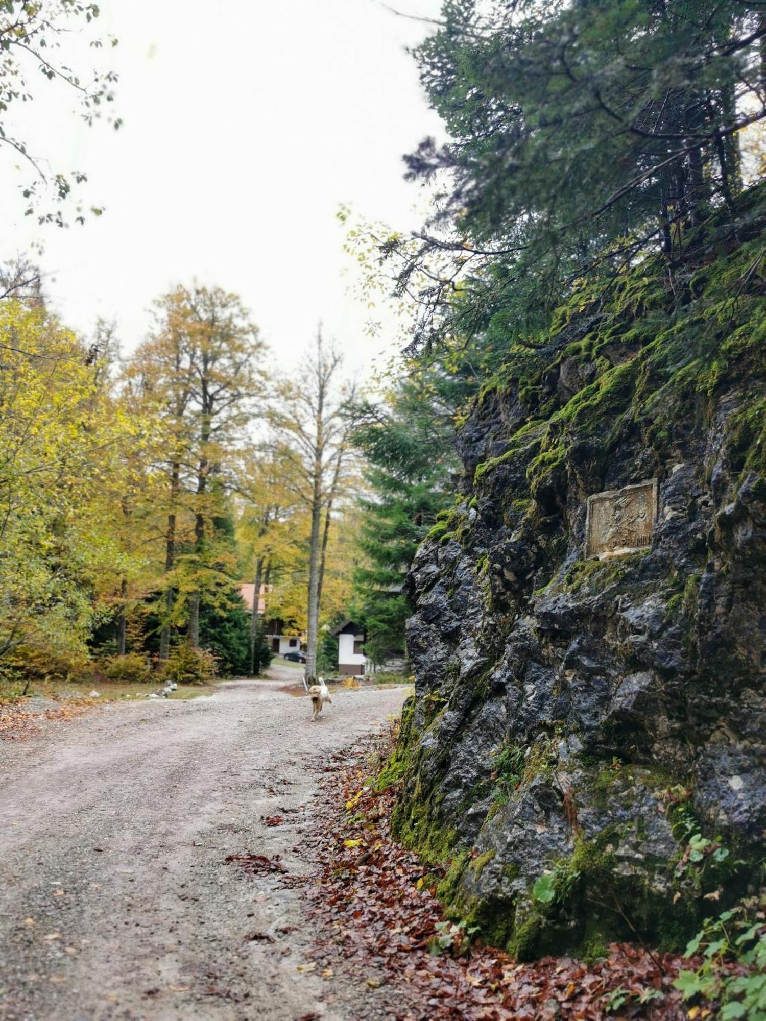 Koca Kresnica Villa Ilirska Bistrica Eksteriør billede